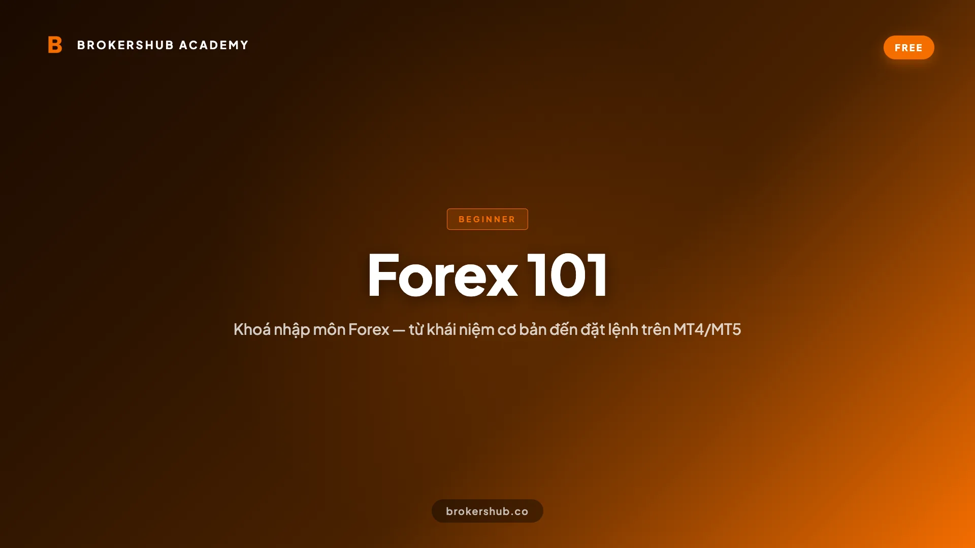 Forex 101