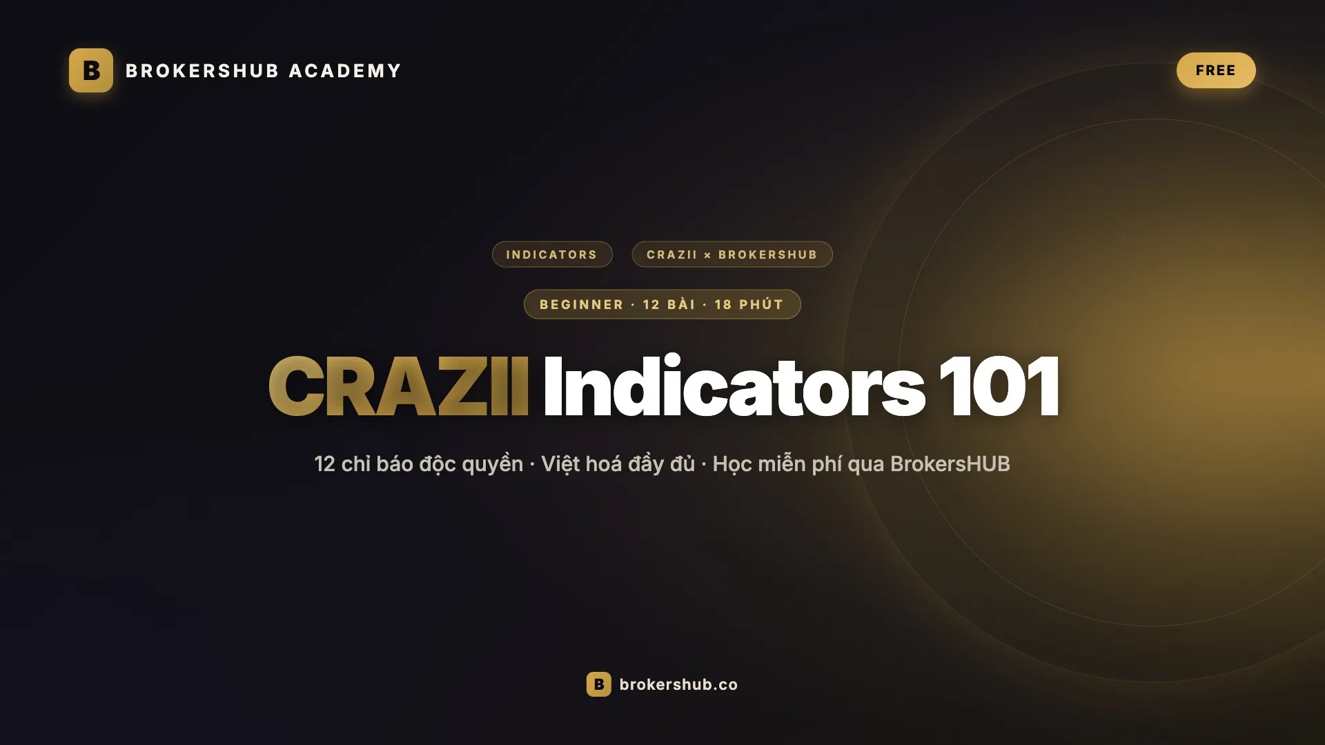 CRAZII Indicators 101 · 12 chỉ báo độc quyền